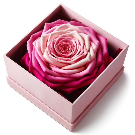 Single Light Pink and Magenta Rose Silk Box - Imaginary Worlds