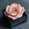 Single Light Pink Rose Silk Box - Imaginary Worlds