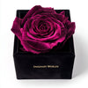 Single Magenta Rose Silk Box - Imaginary Worlds