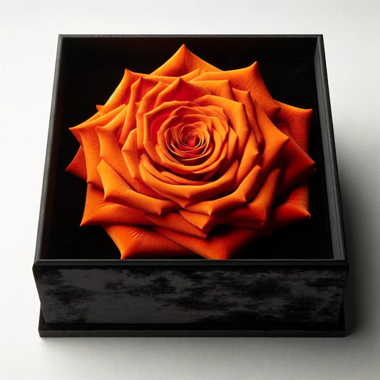 Single Orange Rose Silk Box - Imaginary Worlds