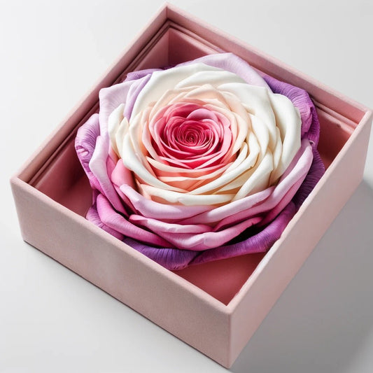 Single Pink, White, and Purple Rose Silk Box - Imaginary Worlds