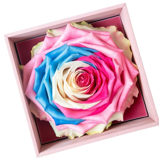 Single Pink, White, Blue, and Magenta Rose Silk Box - Imaginary Worlds