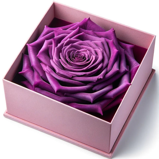 Single Purple Rose Barbie Box - Imaginary Worlds