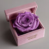 Single Purple Rose Barbie Box - Imaginary Worlds