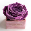 Single Purple Rose Barbie Box - Imaginary Worlds