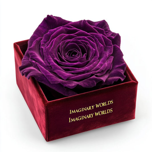 Single Purple Rose Velvet Elegance - Imaginary Worlds