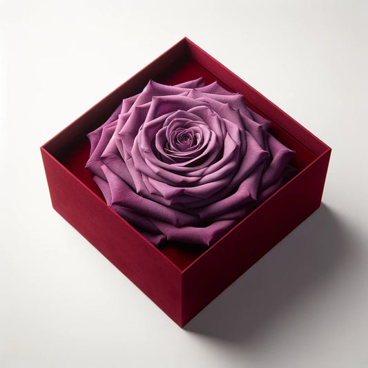 Single Purple Rose Velvet Elegance - Imaginary Worlds
