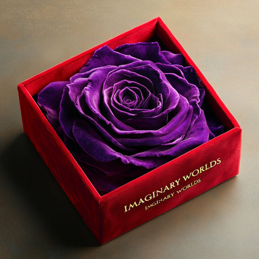 Single Purple Rose Velvet Elegance - Imaginary Worlds