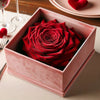 Single Red Rose Barbie Box - Imaginary Worlds