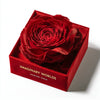 Single Red Rose Velvet Box - Imaginary Worlds