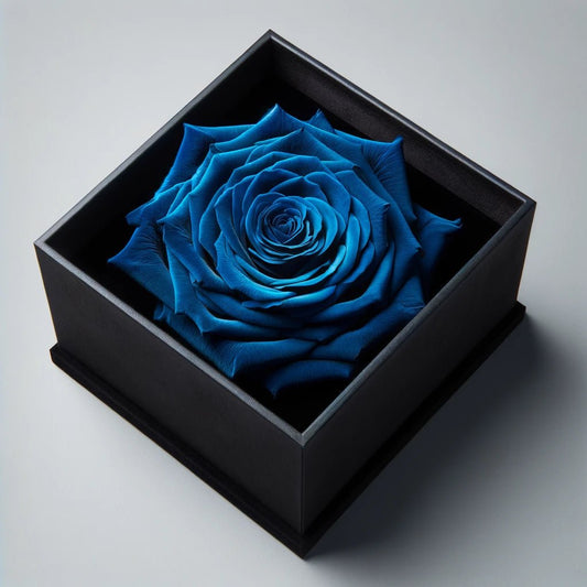 Single Royal Blue Rose Silk Box - Imaginary Worlds
