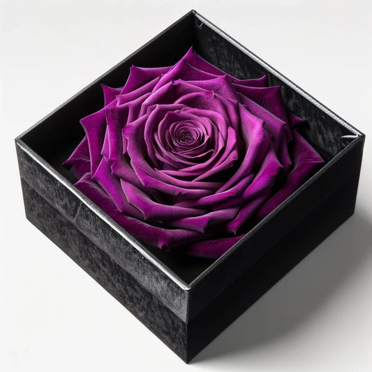 Single Royal Purple Rose Silk Box - Imaginary Worlds