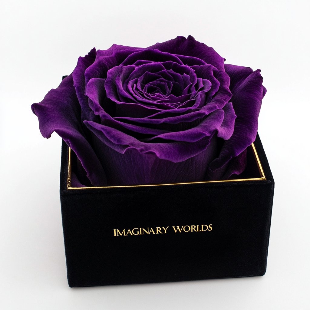 Single Royal Purple Rose Silk Box - Imaginary Worlds