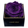 Single Royal Purple Rose Silk Box - Imaginary Worlds