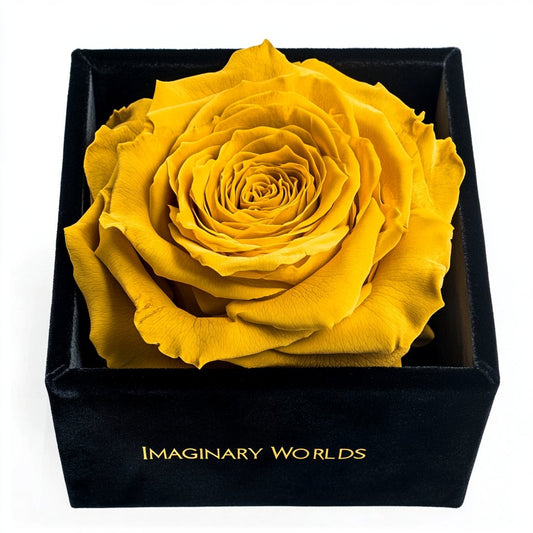 Single Yellow Rose Silk Box - Imaginary Worlds