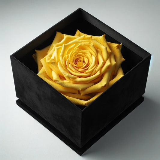Single Yellow Rose Silk Box - Imaginary Worlds