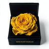 Single Yellow Rose Silk Box - Imaginary Worlds