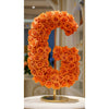 Standing Orange Rose Letter G Lamp - Imaginary Worlds