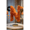 Standing Orange Rose Letter N Lamp - Imaginary Worlds