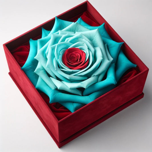 Tiffany Blue Rose with Red Center Velvet Elegance - Imaginary Worlds