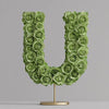 Urania Green Rose Letter U Lamp - Imaginary Worlds