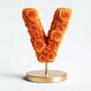 Vesta Orange Rose Letter V Lamp - Imaginary Worlds