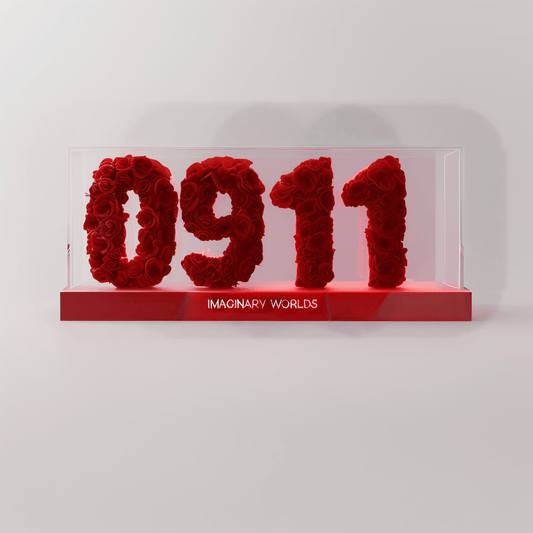 Virgo 911 Rose Box – Precision, Wisdom, and Practicality - Imaginary Worlds