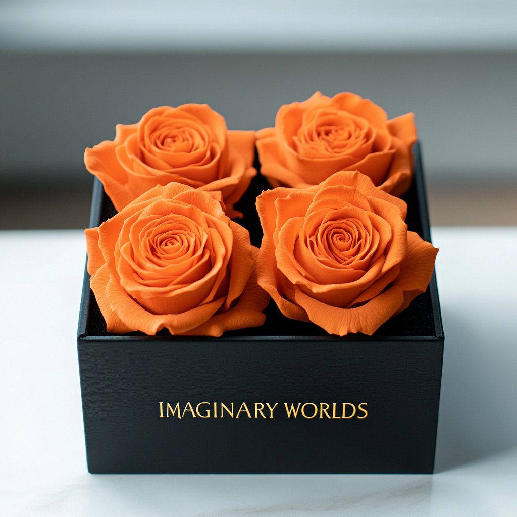 Vivid Orange Forever Roses in Black Velvet Box - Imaginary Worlds