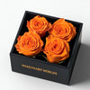 Vivid Orange Forever Roses in Black Velvet Box - Imaginary Worlds