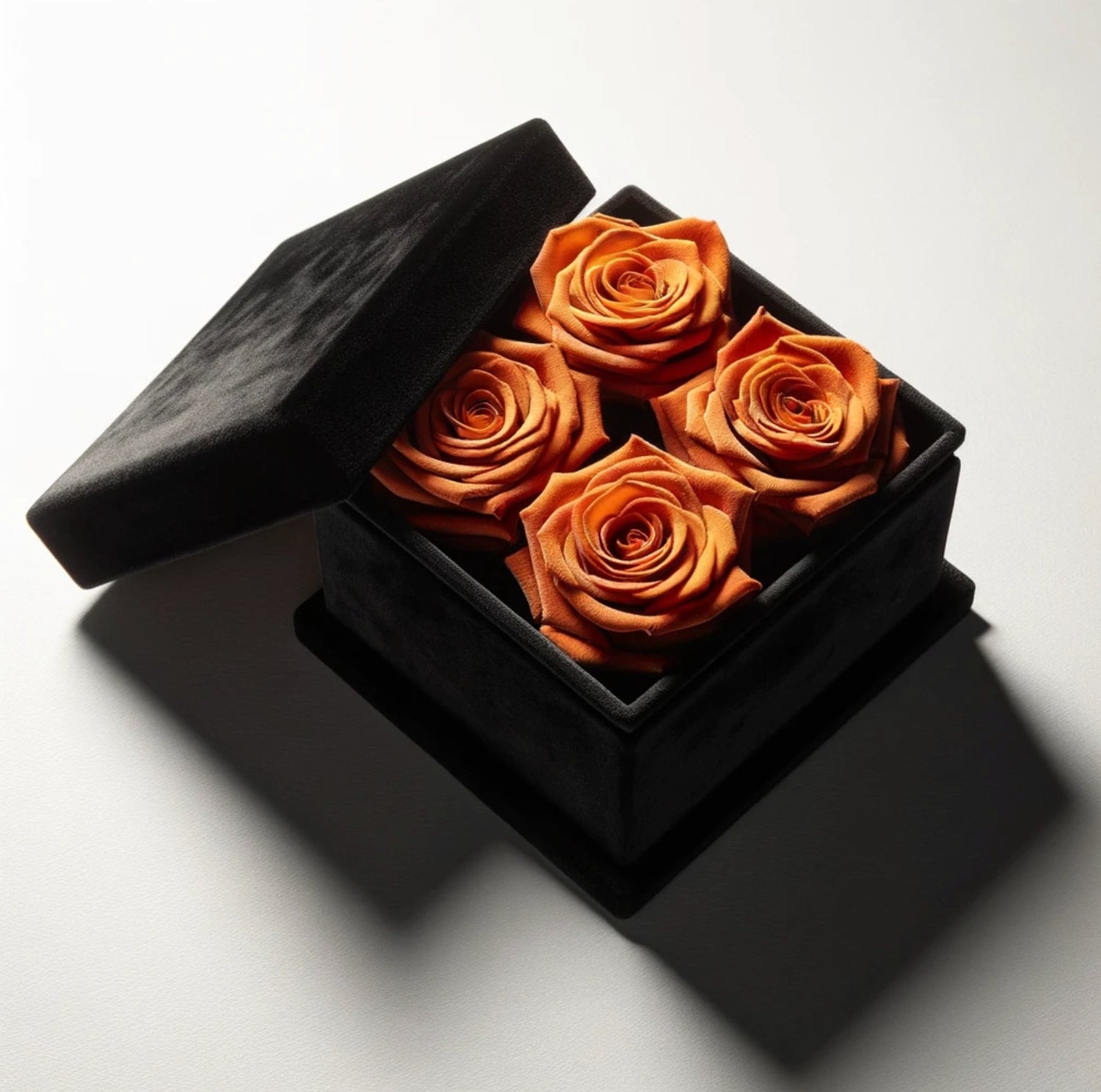 Orange Rose Collection