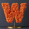 Windsor Orange Rose Letter W Lamp - Imaginary Worlds