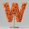 Windsor Orange Rose Letter W Lamp - Imaginary Worlds