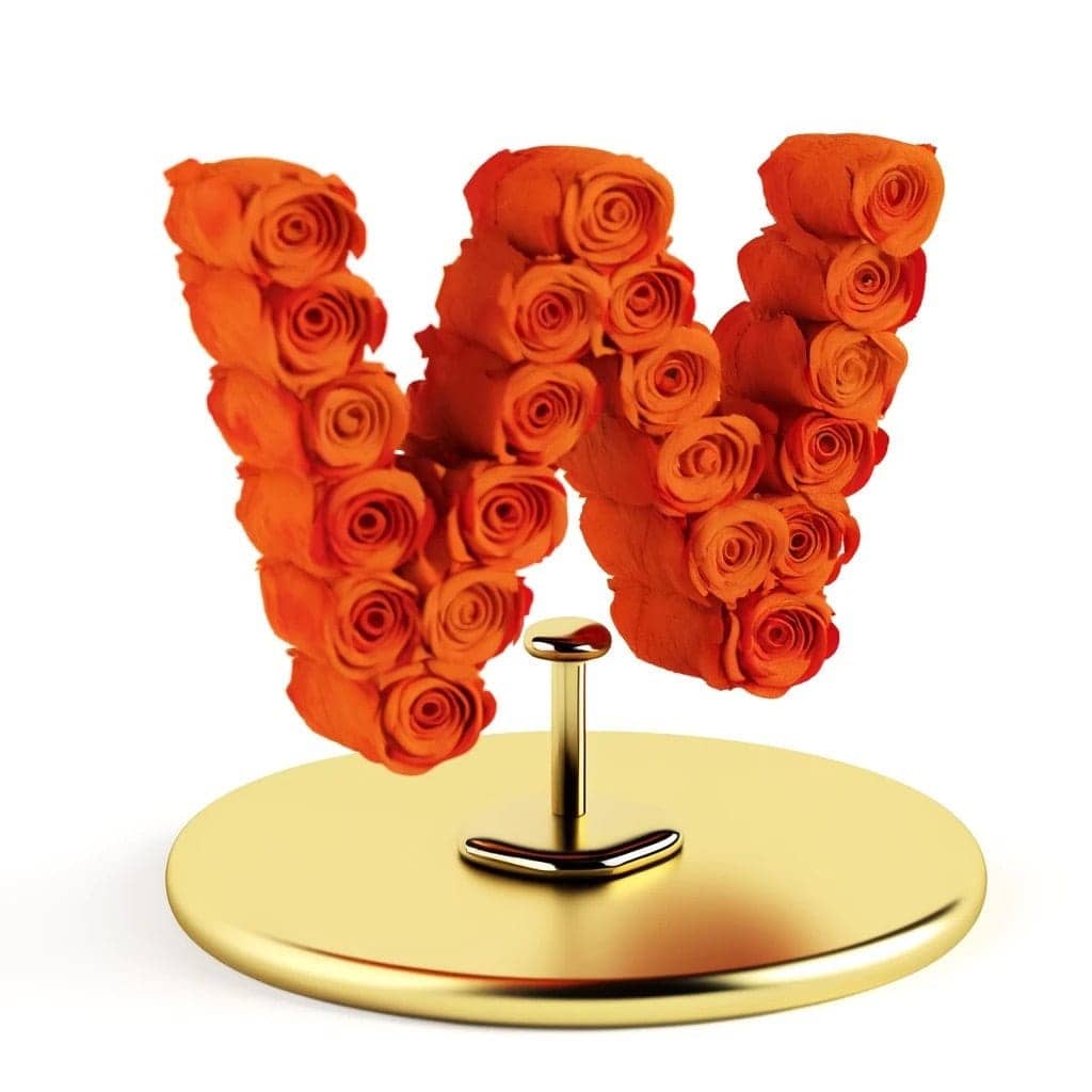 Windsor Orange Rose Letter W Lamp - Imaginary Worlds