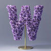 Wisteria Purple Rose Letter W Lamp - Imaginary Worlds