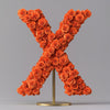 Xanthe Orange Rose Letter X Lamp - Imaginary Worlds