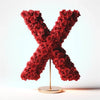 Xanthos Red Rose Letter X Lamp - Imaginary Worlds