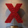 Xanthos Red Rose Letter X Lamp - Imaginary Worlds