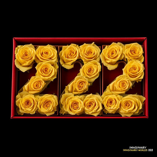 Yellow Harmony 222 Rose Box - Imaginary Worlds