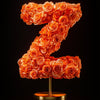 Zephyr Orange Rose Letter Z Lamp - Imaginary Worlds