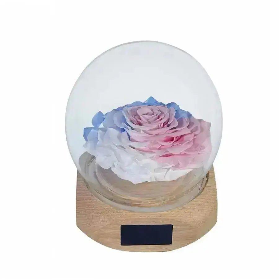 360° Rotating Lighted Rose Speaker - Imaginary Worlds