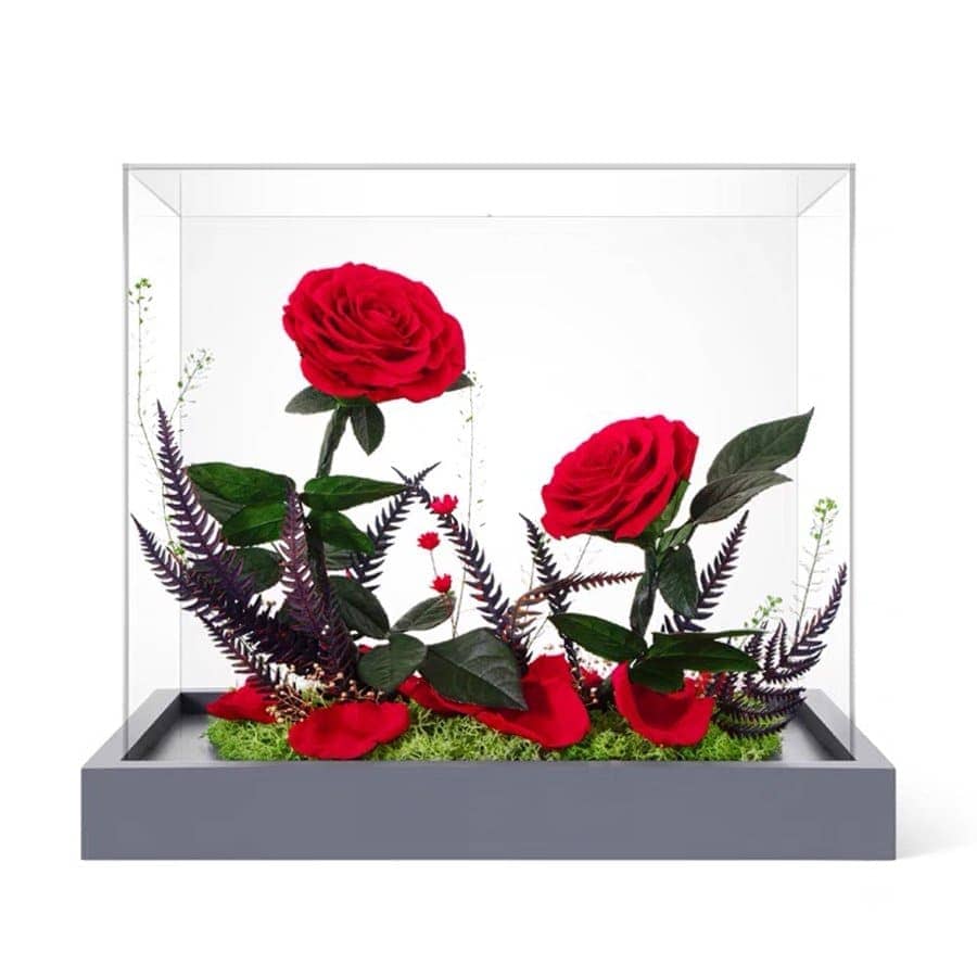 Dual Roses Book Dual Rose Affinity – Preserved Roses at Imaginary Worlds