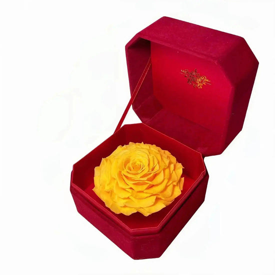 Single Rose Elegance: Luxurious Red Velvet Box Edition - Imaginary Worlds