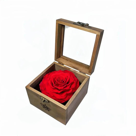 Single Rosewood Elegance in Wooden Box - Imaginary Worlds