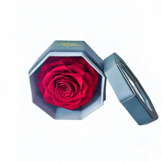 The Single Rose Elegance - Imaginary Worlds